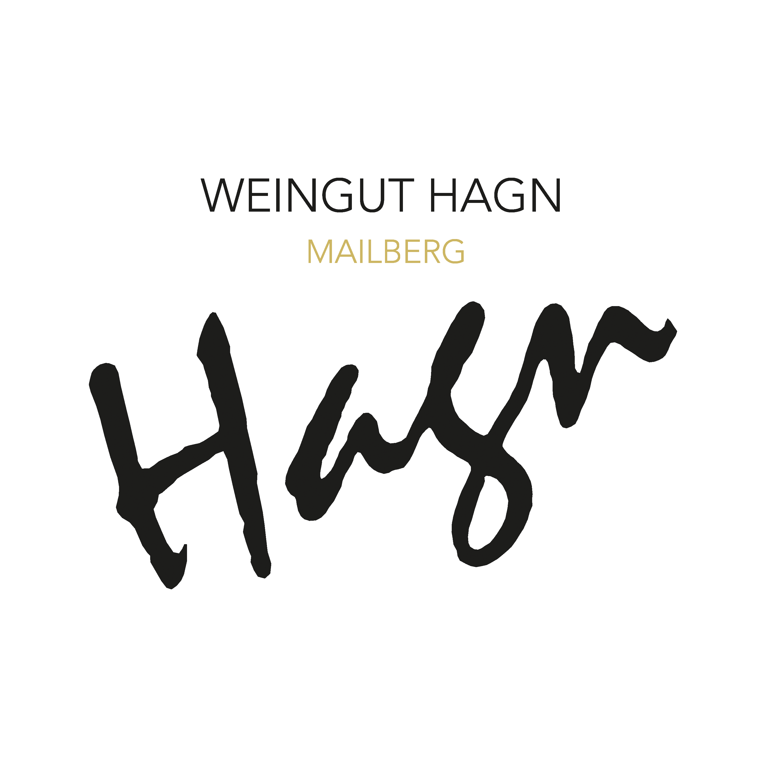 https://hagn-weingut.at/